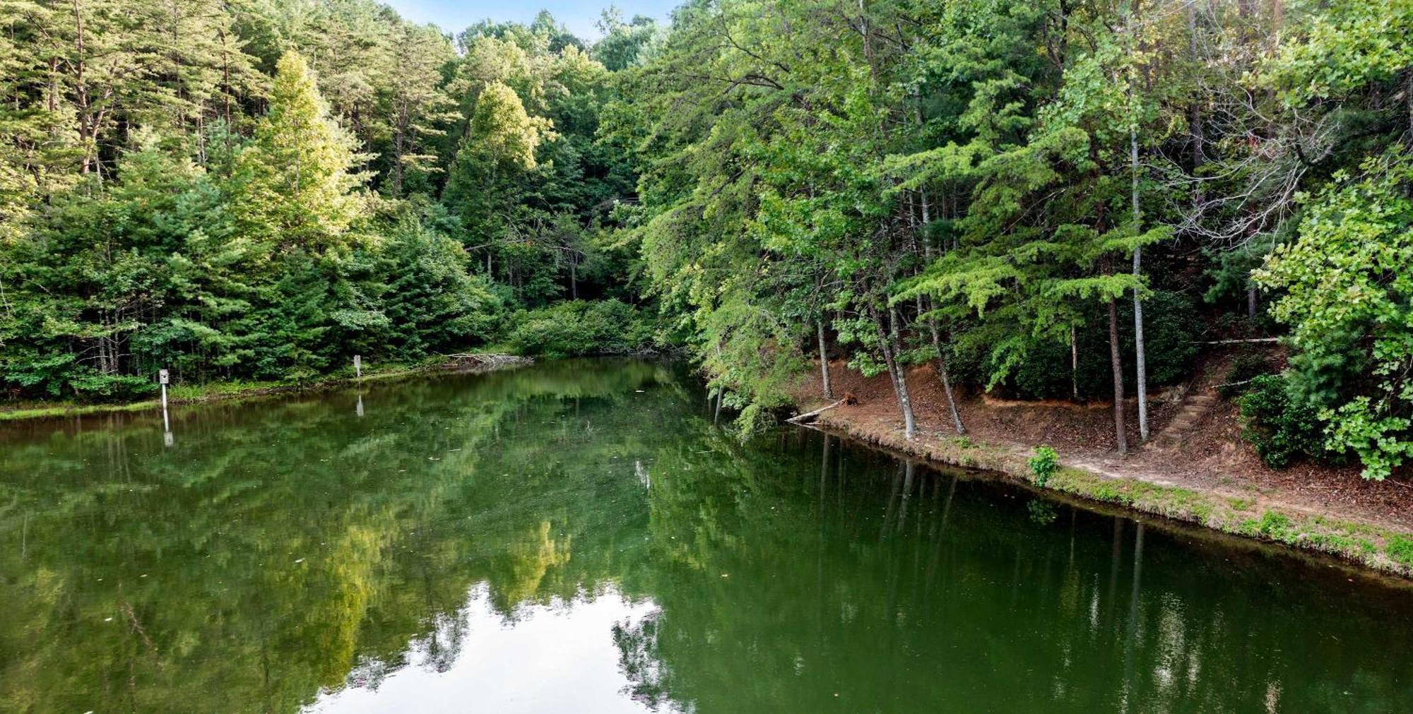 Lakeside Retreat Hot Tub Fishing Hiking Ellijay Exterior foto